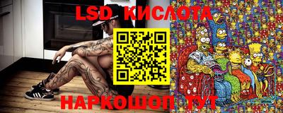 ПСИЛОЦИБИНОВЫЕ ГРИБЫ Тверь